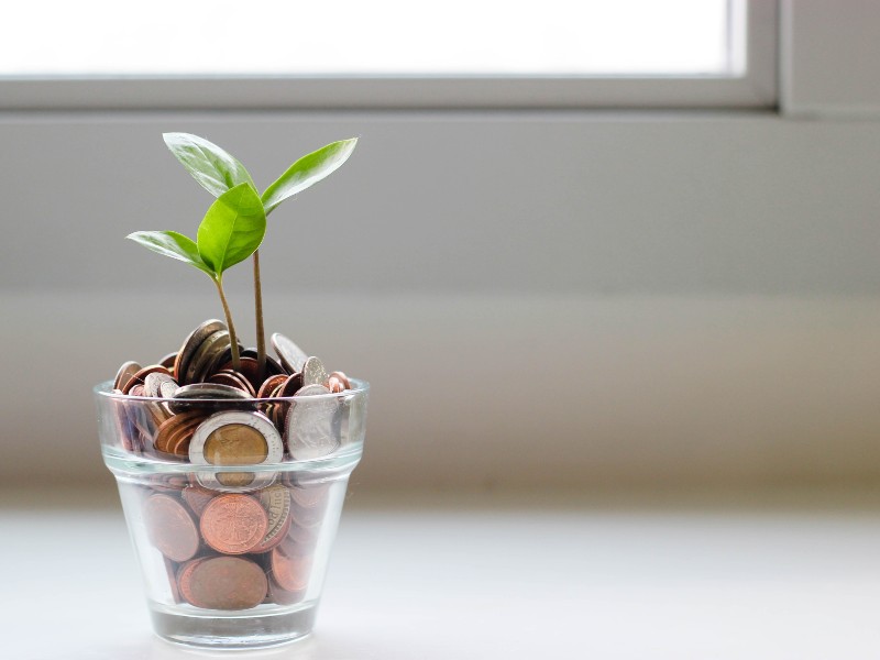 Sapling growing from a small clear pot of coins