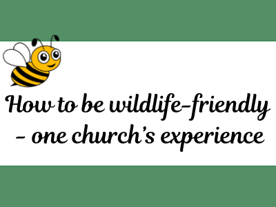 Wild-life friendly church 2